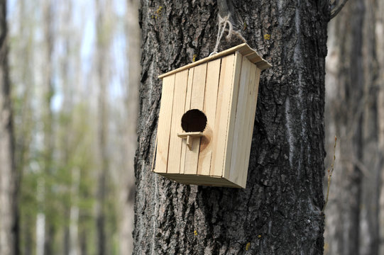 wooden birdhouse on the tree