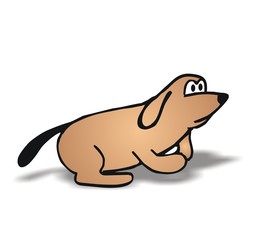 Obraz premium dog
