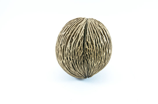 Cerbera oddloam's seed, Pong pong seed