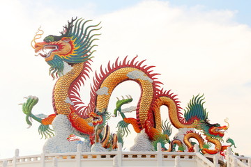 Fototapeta premium Dragon statue.