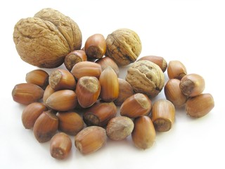 walnuts and hazel nuts as wholesome,delicious food