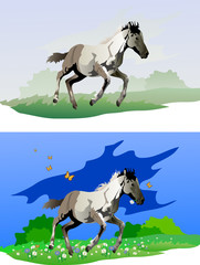 Obraz na płótnie Canvas Vector image of a foal on a green meadow
