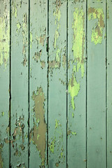 part of green weathered wooden fencing