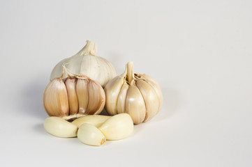Close view of Garlic