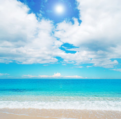 golden shore and sun