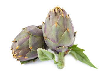 Artichokes isolated_II