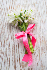 Bunch of snowdrop flowers