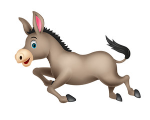 Cute donkey cartoon running