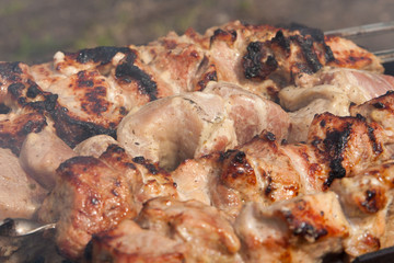 Grilled meat on the skewer