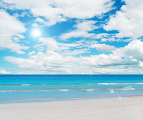 Fototapeta na wymiar biała plaża i błękitne niebo