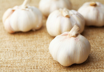 Garlic