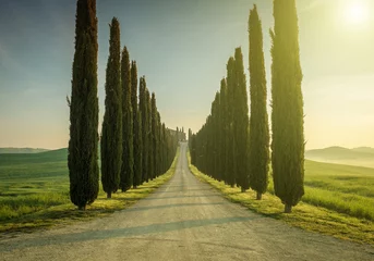 Foto auf Acrylglas Toskana, Landschaft. Italien © ZoomTeam