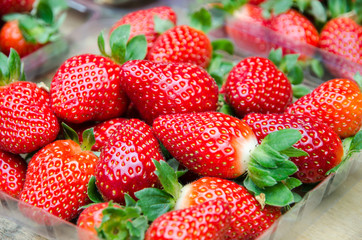 Fresh Strawberries in a market