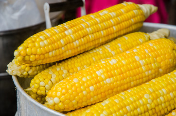 Steamed Corn in a market