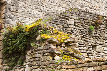 Mur de pierre avec fougère et mousse