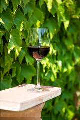 Red wine in  a wine glass in vineyard