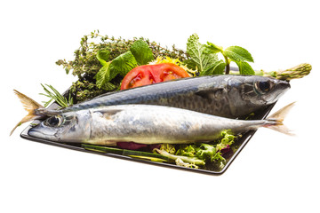 Atlantic raw sardine