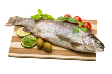 Fresh raw rainbow trout