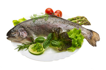 Fresh raw rainbow trout