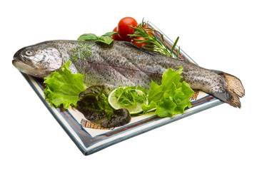 Fresh raw rainbow trout