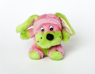 Plüschtier / Kuscheltier