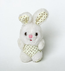 Plüschtier / Kuscheltier