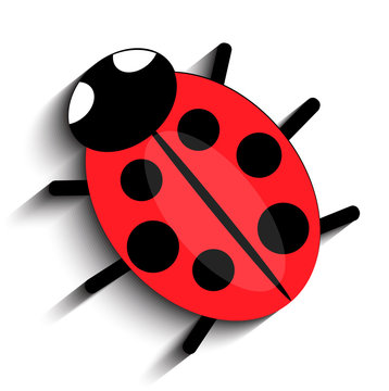 red ladybug,