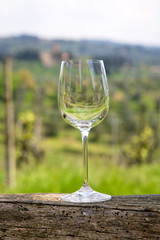 Empty wine glass in vineyard