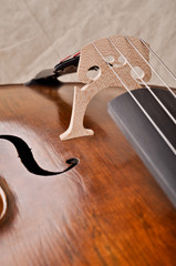 close up of a violoncello isolated on beige background