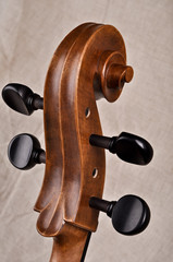 Detail of the head of a cello