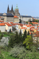 Spring Prague gothic Castle, Czech Republic