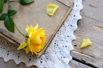 Yellow rose laying upon vintage book on lace doily