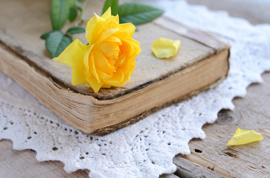 Yellow rose laying upon vintage book on lace doily
