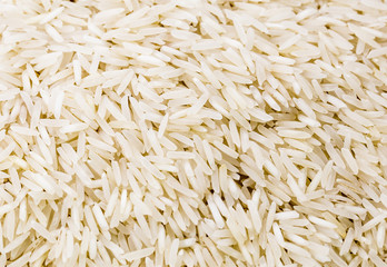 Rice grain close up