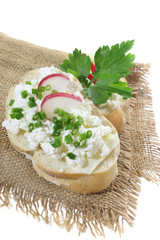 Sandwich with cottage cheese and radish