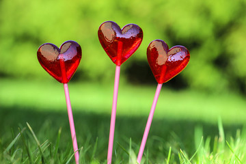Red lollipops in heart shape, on fresh green grass, in the garde