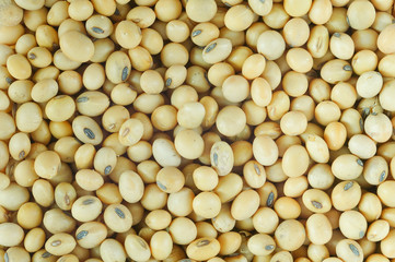 Soy  background.