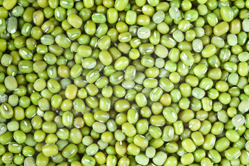 Green beans background.