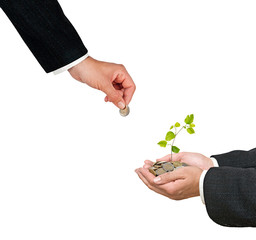 Investment to green business