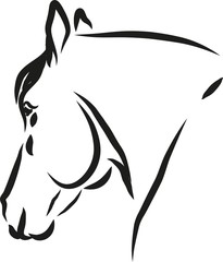 horse vector