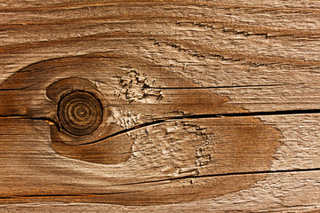 Texture of wooden surface and a knot