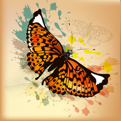 Elegant vintage design with orange butterfly and ink splats