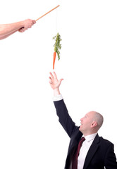 motivation carrot