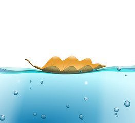 Water surface with Leaf