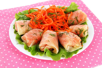 Stuffed cabbage roll close-up
