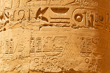 Hieroglyphic of pharaoh civilization in Karnak temple, Egypt