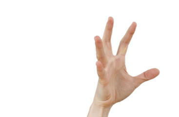 Hand isolated on white