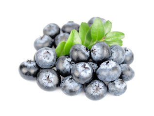 Blueberries
