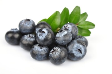 Blueberry