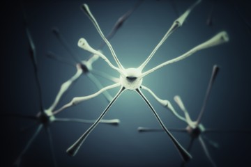 Neurons